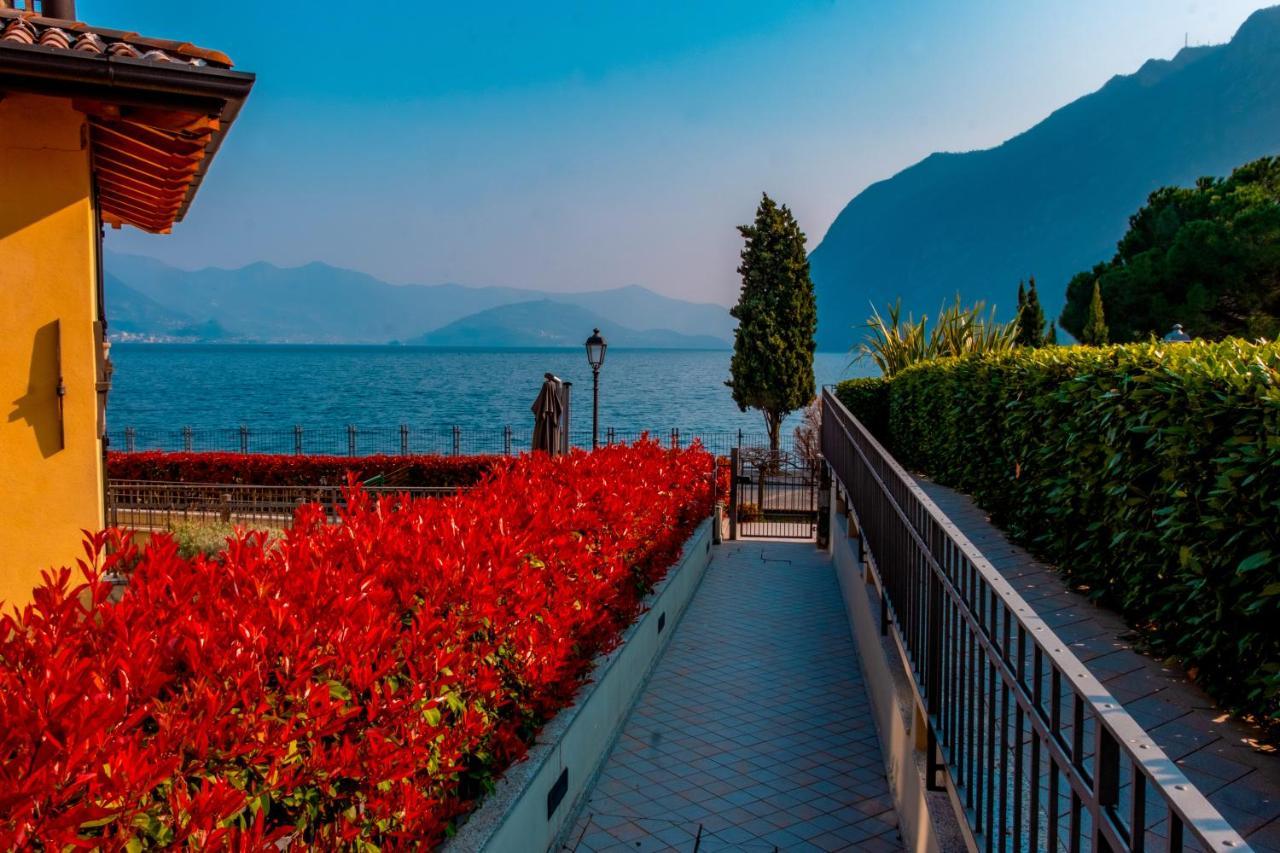 Happy Guest Apartments - Lake & Relax Riva di Solto Buitenkant foto